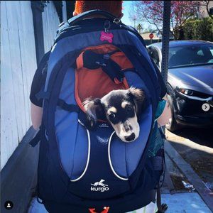 Kurgo G-Train Dog Carrier Backpack